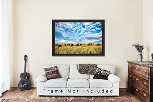 Западна фотография, Принт (без рамка), Изображението на стадото биволи под Голямото Синьо небе на Високопланинско прерията в Оклахома, Бизони, Стенно изкуство, Декорация на дивата природа от 4x6 до 40x60