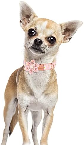 Нашийник за кучета Babole с Розова Вратовръзка във формата на Цвете Маргаритки, Памук Нашийник за Кучета с Безопасна Метална Катарама, Регулируем Яки за малки Кученца