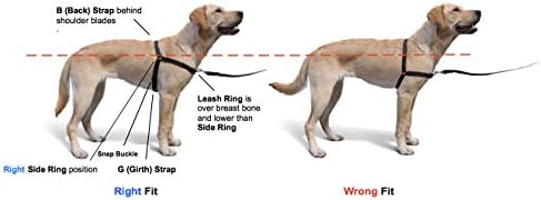 Концепцията Softouch Оригиналната шлейка за дресура на кучета Sense-хвърлен No-Pull (черна, средна ширина)