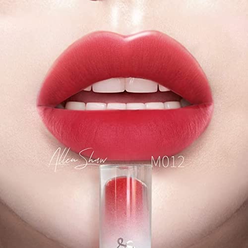SPESTYLE Mist Surface Lip Glaze Цвят за устни - Устойчиви червило (M012)