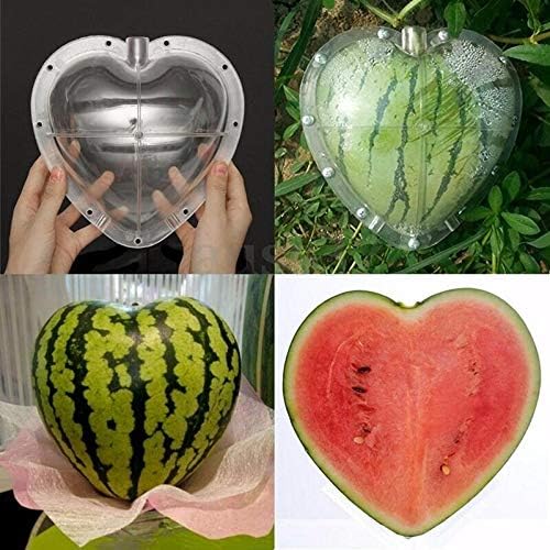 Лесен за използване Пластмасова форма за формиране на Диня под формата на Квадратен сърцето Голям размер, Прозрачна Форма За отглеждане на плодове, Градински Здра?