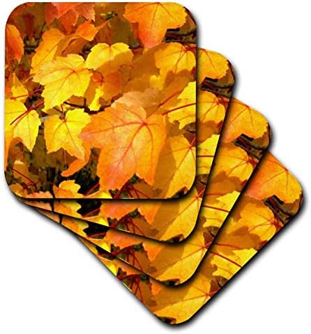 3dRose cst_28917_2 Красиви Меки подложки с оранжеви и златни есента листа, комплект от 8