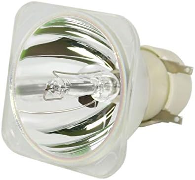 Икономична лампа Lytio за проектор BenQ 5J.J5405.001 (само за лампи с нажежаема жичка) 5J.J5405001
