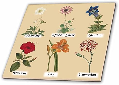 3dRose Реколта ботанически цветя - Антикварни цветя - Красивите цветни арт-плочки (ct-364635-7)