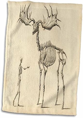 Кърпа с 3D Принтом рози Ископаемый човек срещу Лосове, Научен Скица TWL_203721_1, 15 x 22