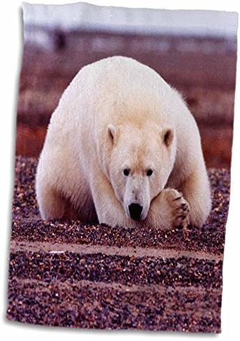 Кърпа 3D Rose Мама Polar Bear TWL_44936_1, 15 x 22