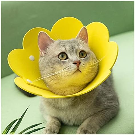 DHDM Яката във формата на цвете за заздравяване на рани Котки, Защитния Конус за възстановяване след ухапване, Яки за Коте и Кученце (Цвят: бял-Динозавър Doodle4, Размер: Mcode)